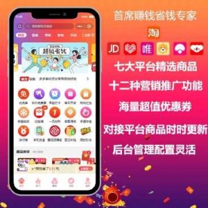 首席赚钱省钱专家多开版小程序源码v1.9.63+前端-虚拟货源网