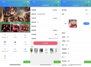 王者荣耀装逼神器助手小程序源码_支持多种流量主模式-虚拟货源网
