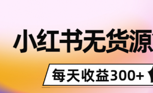 小红书无货源怎么赚钱：0投入起店，无脑图文精细化玩法，每天收益300+-虚拟货源网