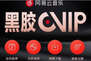 网易云音乐撸黑胶年卡及变现方法【收益可无限放大】-虚拟货源网