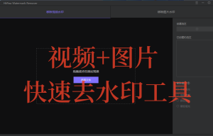 视频+图片去水印工具，快速高效！值得珍藏-虚拟货源网