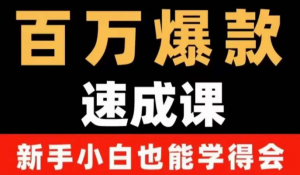 自媒体爆款指南：用数据思维做爆款，小白也能从0-1打造百万播放视频-虚拟货源网